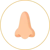 鼻