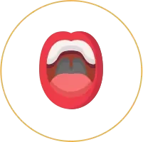 口・歯