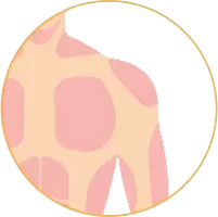 肩