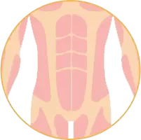 腹部