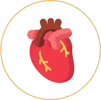 心臓