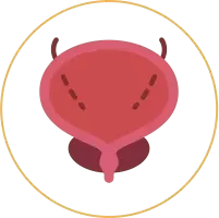 膀胱