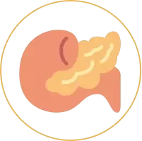 膵臓