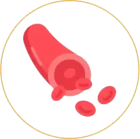 血管