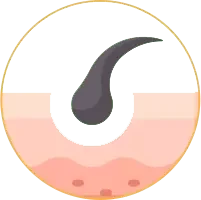 皮膚