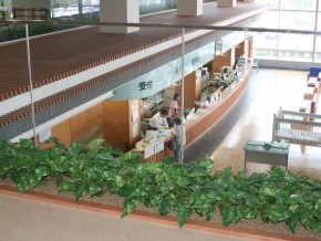 Entrance of Haibara General Hospital