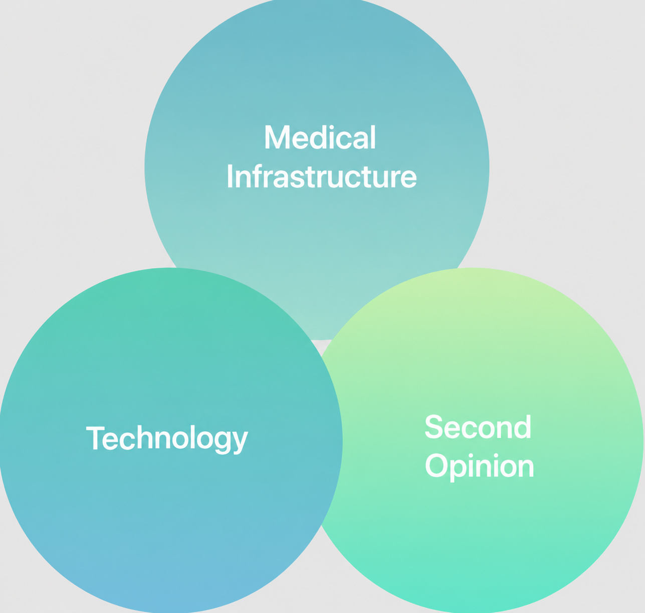 Image of Japanese Medical System