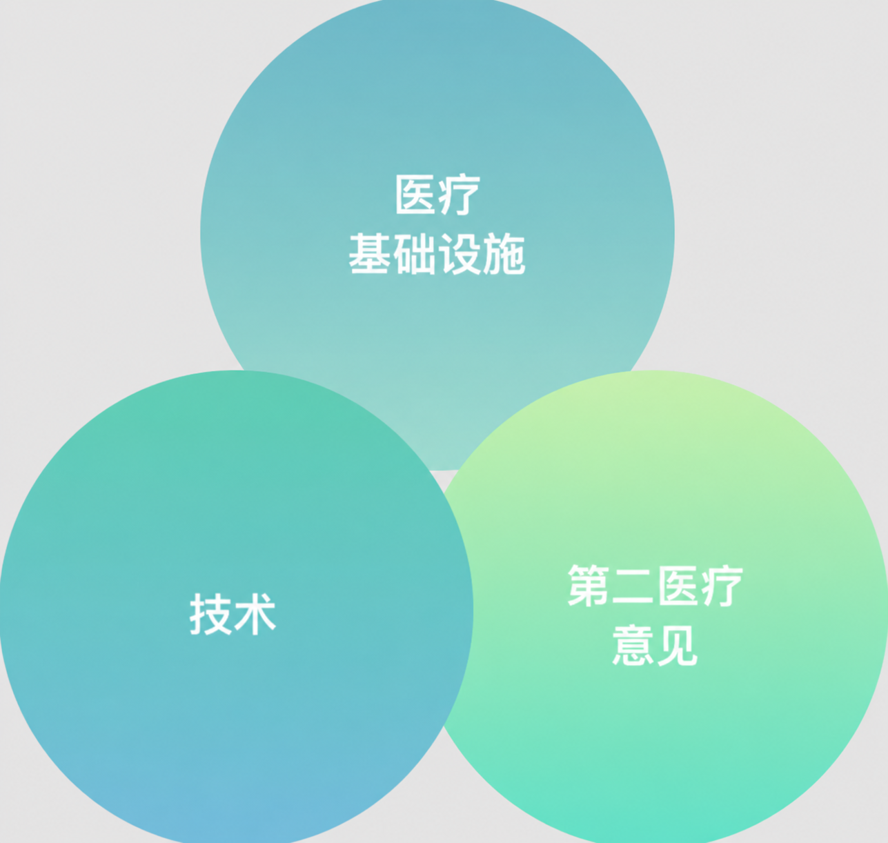 日本医疗体系形象图