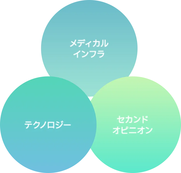 Image of Japanese Medical System