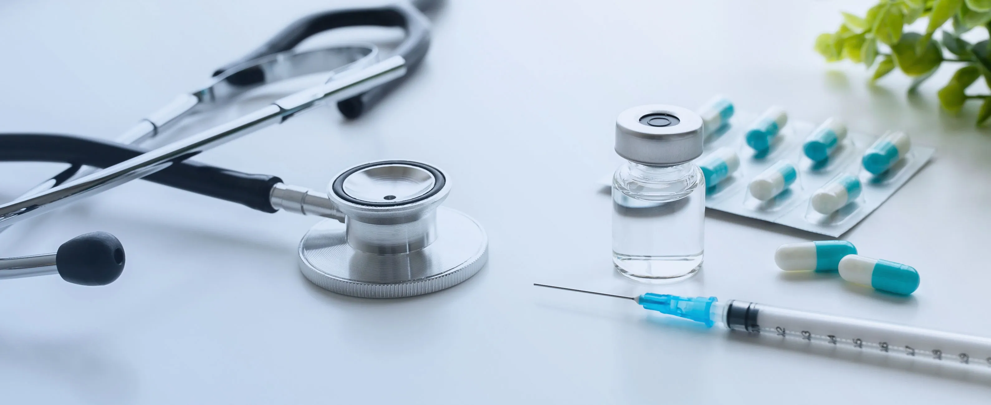 Infectious Disease Control Support Services